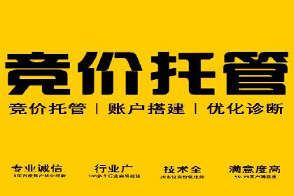竞价广告的投放平台选择与优化：基于多个行业的成功案例